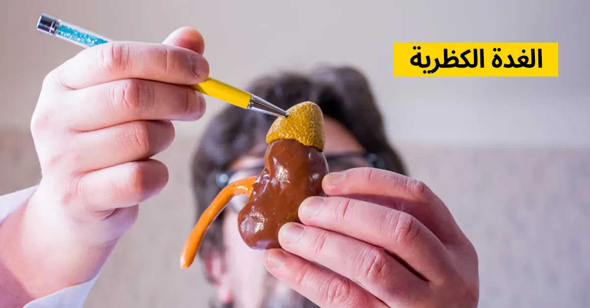 الغدة الكظرية